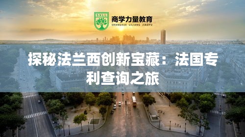 探秘法兰西创新宝藏：法国专利查询之旅