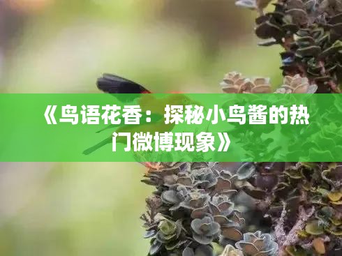 《鸟语花香：探秘小鸟酱的热门微博现象》