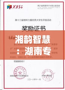 湘韵智慧：湖南专利工程师的创新之旅