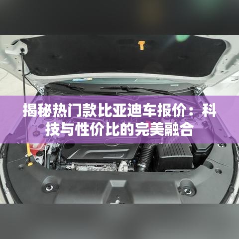 揭秘热门款比亚迪车报价：科技与性价比的完美融合