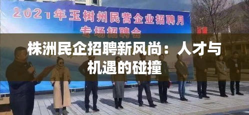 株洲民企招聘新风尚：人才与机遇的碰撞