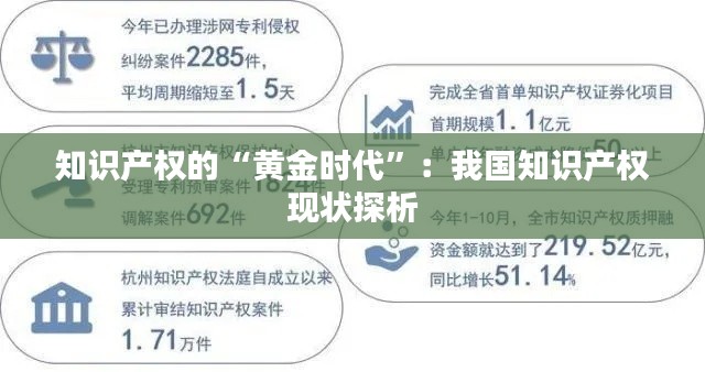 知识产权的“黄金时代”：我国知识产权现状探析