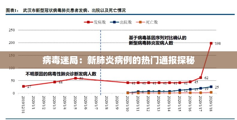 知识产权预算中心 第292页