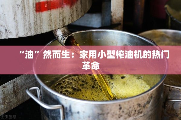 “油”然而生：家用小型榨油机的热门革命