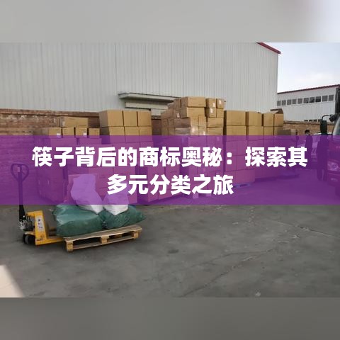 筷子背后的商标奥秘：探索其多元分类之旅