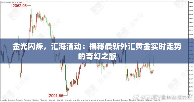 金光闪烁，汇海涌动：揭秘最新外汇黄金实时走势的奇幻之旅