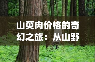 山萸肉价格的奇幻之旅：从山野到市场的价值蜕变