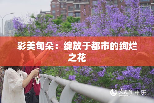 彩美旬朵：绽放于都市的绚烂之花