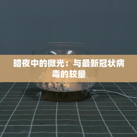 暗夜中的微光：与最新冠状病毒的较量