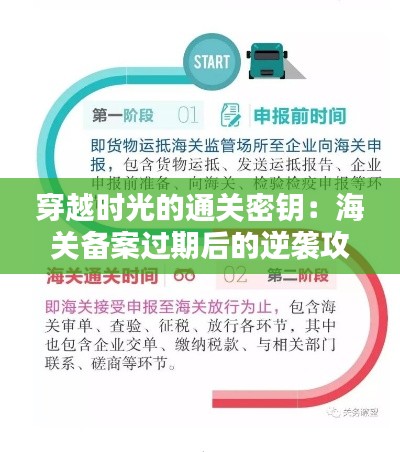 穿越时光的通关密钥：海关备案过期后的逆袭攻略