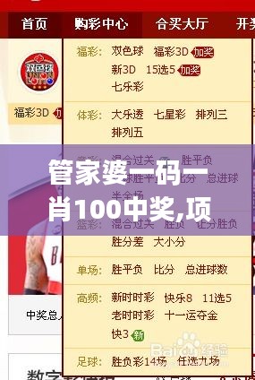 管家婆一码一肖100中奖,项目管理推进方案_4K版7.245