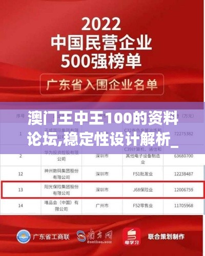 澳门王中王100的资料论坛,稳定性设计解析_Windows19.213