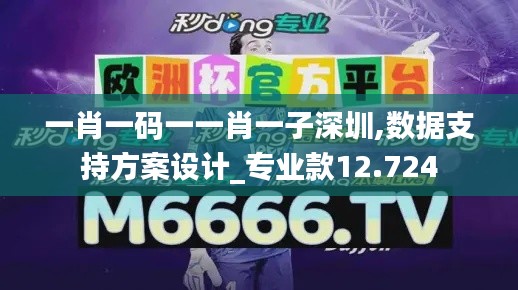 一肖一码一一肖一子深圳,数据支持方案设计_专业款12.724