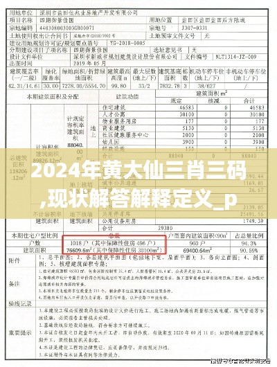 2024年黄大仙三肖三码,现状解答解释定义_pack16.496