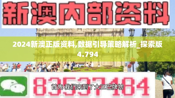 2024新澳正版资料,数据引导策略解析_探索版4.794