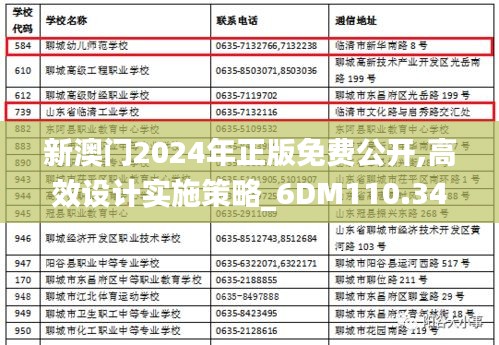 新澳门2024年正版免费公开,高效设计实施策略_6DM110.345