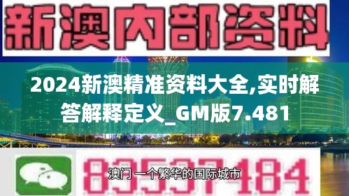 2024新澳精准资料大全,实时解答解释定义_GM版7.481