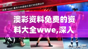 澳彩资料免费的资料大全wwe,深入解答解释定义_安卓5.311