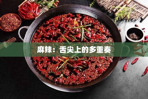 麻辣：舌尖上的多重奏