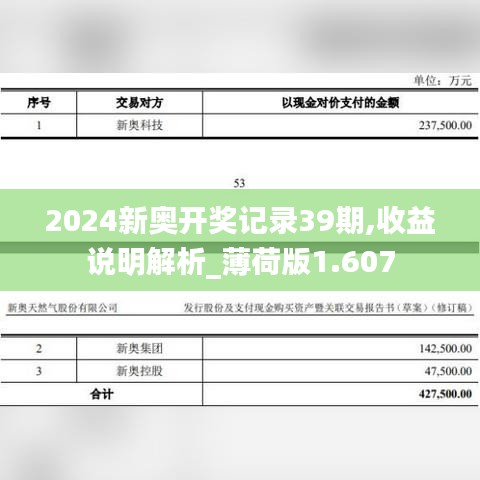 2024新奥开奖记录39期,收益说明解析_薄荷版1.607