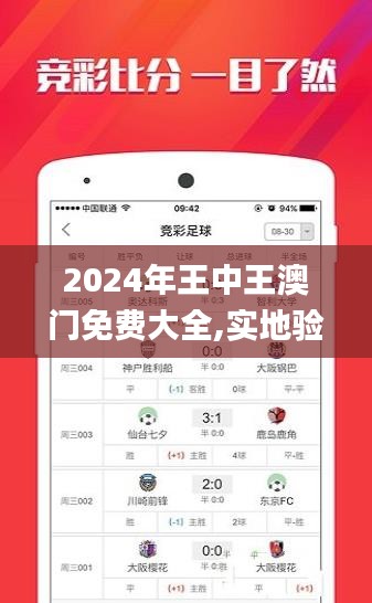 2024年王中王澳门免费大全,实地验证分析数据_zShop4.820