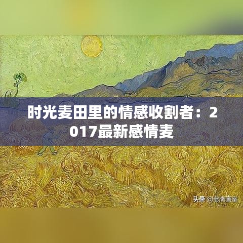 时光麦田里的情感收割者：2017最新感情麦