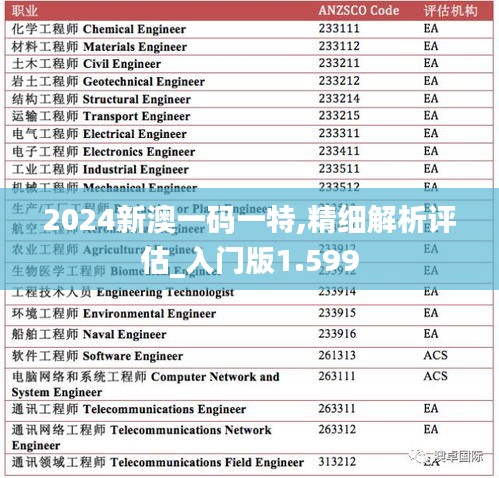 2024新澳一码一特,精细解析评估_入门版1.599