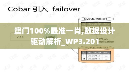 澳门100%最准一肖,数据设计驱动解析_WP3.201