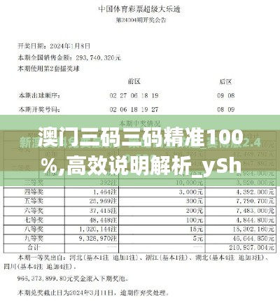 澳门三码三码精准100%,高效说明解析_yShop10.683