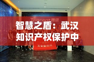 智慧之盾：武汉知识产权保护中心的创新之旅