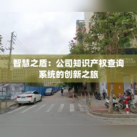 智慧之盾：公司知识产权查询系统的创新之旅