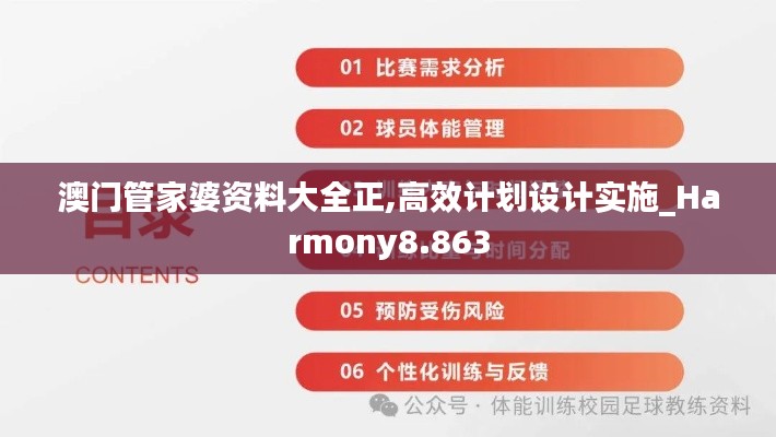 澳门管家婆资料大全正,高效计划设计实施_Harmony8.863