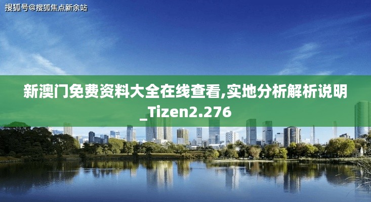 新澳门免费资料大全在线查看,实地分析解析说明_Tizen2.276