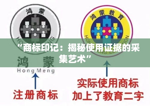 “商标印记：揭秘使用证据的采集艺术”