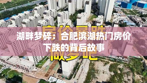 湖畔梦碎：合肥滨湖热门房价下跌的背后故事