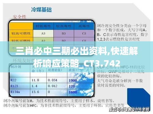 三肖必中三期必出资料,快速解析响应策略_CT3.742