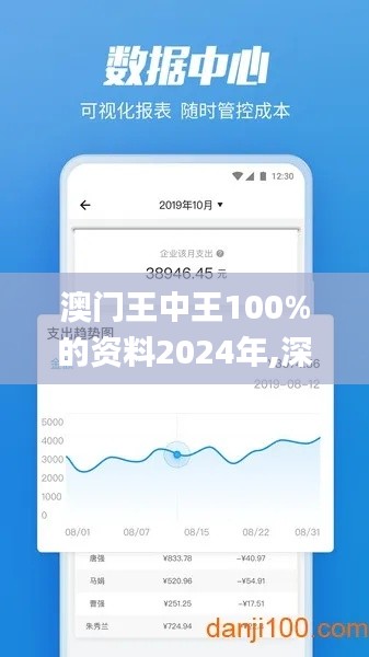 澳门王中王100%的资料2024年,深入应用数据执行_专属款10.754