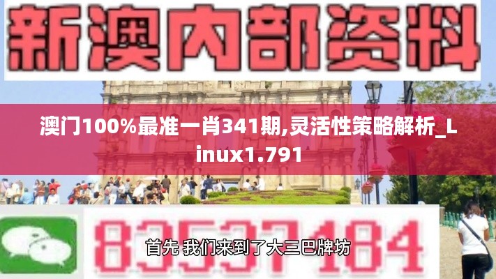 澳门100%最准一肖341期,灵活性策略解析_Linux1.791