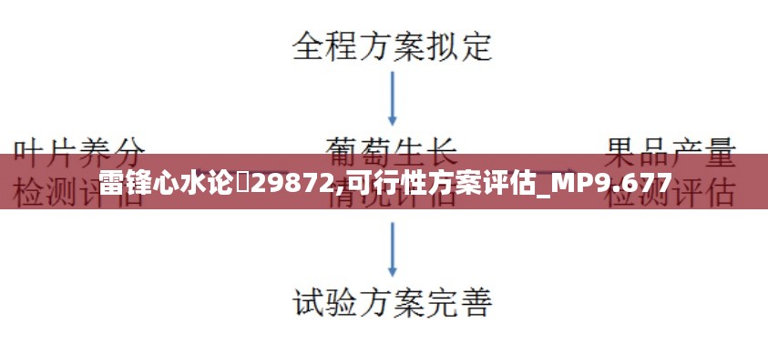 雷锋心水论枟29872,可行性方案评估_MP9.677