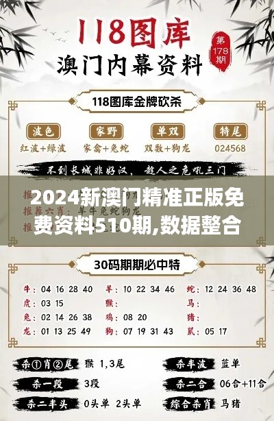 2024新澳门精准正版免费资料510期,数据整合设计执行_创意版16.719