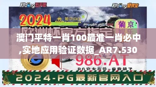 澳门平特一肖100最准一肖必中,实地应用验证数据_AR7.530