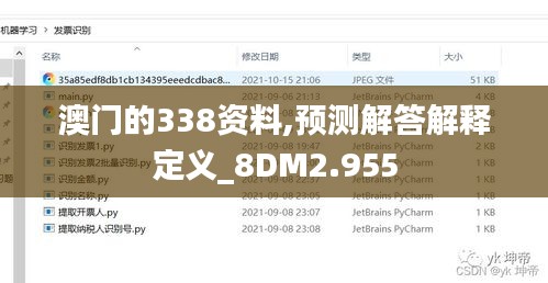 澳门的338资料,预测解答解释定义_8DM2.955