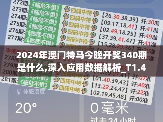 2024年澳门特马今晚开奖340期是什么,深入应用数据解析_T1.487