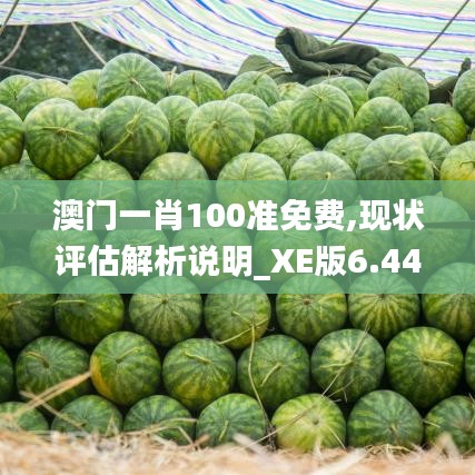 澳门一肖100准免费,现状评估解析说明_XE版6.446