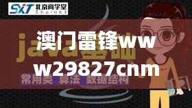 澳门雷锋www29827cnm,深度数据解析应用_专业款18.172