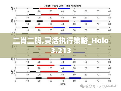 二肖二码,灵活执行策略_Holo3.213