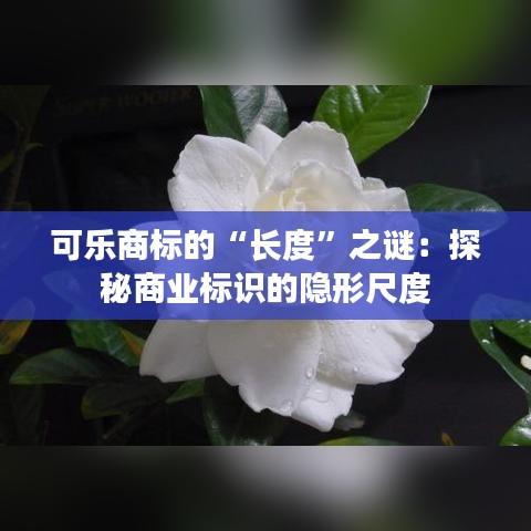 可乐商标的“长度”之谜：探秘商业标识的隐形尺度