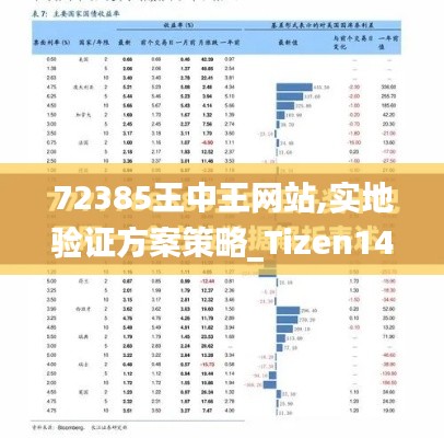 72385王中王网站,实地验证方案策略_Tizen14.317