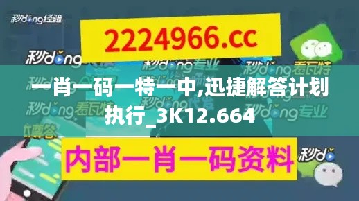 一肖一码一特一中,迅捷解答计划执行_3K12.664