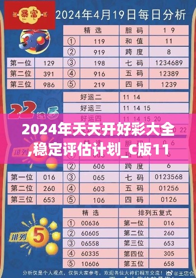 2024年天天开好彩大全,稳定评估计划_C版110.737